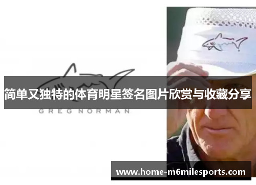 简单又独特的体育明星签名图片欣赏与收藏分享